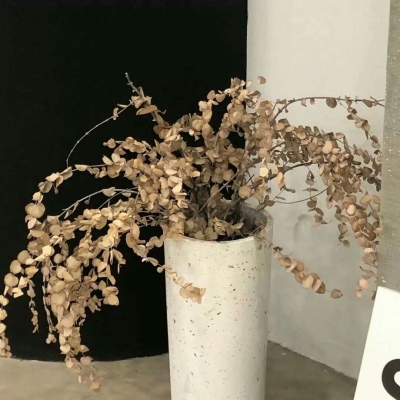 灵璧FurryQQ群介绍